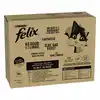 Image de Mégapack Felix Tendres Effilés 80 x 85 g pour chat - boeuf, poulet, canard, agneau
