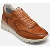 Image de Cantabria W4R-6731 par Pikolinos Marron 41 Femme