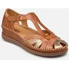 Image de Sandales CADAQUES W8K-1569C4 par Pikolinos Marron 41 Femme
