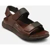 Image de NIJAR M0B-0122 par Pikolinos Marron 45 Homme