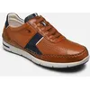 Image de F1443 par Fluchos Marron 40 Homme