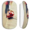 Image de Souris Sans Fil Coccinelle