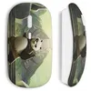 Image de Souris sans fil kung fu panda 1 (Maniacase)