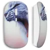 Image de Souris sans fil - MANIACASE - Chat mimi - Couleur blanche - Clé USB wifi incluse - Compatible Mac et PC