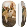 Image de Souris Sans Fil Chat minion (Maniacase)