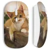 Image de Souris Sans Fil Chat minion