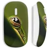 Image de Souris sans fil Grenouille oeil