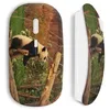Image de Souris Panda sans fil