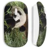 Image de Souris sans fil Panda Cute (Maniacase)