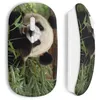 Image de Souris sans fil - MANIACASE - Panda Cute - Clé USB wifi incluse - Compatible Mac et PC - Blanc