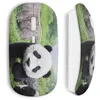 Image de Souris sans fil Panda (Maniacase)