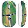 Image de Souris sans Fil VTT on road (Maniacase)