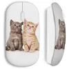 Image de Souris sans fil - Chats Mignons - USB WiFi - Compatible Mac et PC - Couleur Blanc - Technologie Sans Fil