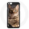 Image de Coque - MANIACASE - Iphone SE 2020 - Rigide - Noir - Chat chaton Bengal