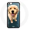 Image de Coque pour Iphone 5/5S - SE Chien beige Golden Retriever