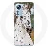 Image de Coque pour Xiaomi Mi 12 / 12X Appaloosa Cheval blanc