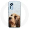 Image de Coque pour Xiaomi Mi 12 / 12X Petit basset griffon vendéen