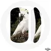 Image de Souris sans fil - Cacatoes - Perroquets Blanc - USB wifi - Compatible Mac et PC - Ergonomique