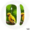 Image de Souris Sans Fil Oiseaux de Perruches jaune Fond Vert