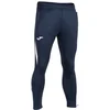 Image de Joma Pantalon De Survêtement Championship Vii