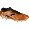 Image de Joma, Hommes, Chaussures de football, Leistungsstarke Schuhe (44.5), Or