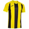 Image de Joma T-shirt à Manches Courtes Inter Iv