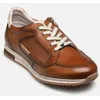 Image de SAMIR F2187 par Fluchos Marron 46 Homme