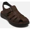 Image de AZORES F2198 par Fluchos Marron 45 Homme