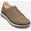 Image de JEFF F2211 par Fluchos Beige 40 Homme