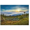 Image de Puzzle 1000 pièces : VUE DEPUIS Je t d Dino