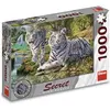 Image de Dino Puzzle Secret Collection: Bol Tigers 1000 dlks (1000 pièces)