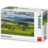 Image de Dino Puzzle 3000 pieces Spring at Povraznik (3000 pièces)