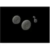 Image de Eduard Spitfire Mk.XIV wheels-3spoke f.Airfix