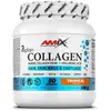 Image de Amix Collagène Marine Peptan® 300g Exotique One Size