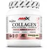 Image de Amix Collagène Viscofan® 300g Piña Colada One Size
