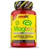 Image de Amix Magnésium L-threonate Magtein® 90 Unités One Size