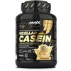 Image de Amix Protéine Black Micellar 1kg Casein Vanille One Size