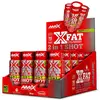 Image de Amix Brûleur De Graisse X-fat 2-in-1 60ml 20 Unités One Size