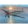 Image de Supermarine Seafire Mk.45 - 1:72e - Special Hobby