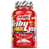 Image de Amix Masse Musculaire Tribulyn Max 90% 100 Unités One Size