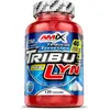 Image de Amix Capsules Tribulyn 40% Anabolic Naturel 120 Unités One Size