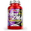 Image de Amix Masse Musculaire Tribu-zma 90 Unités One Size