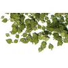Image de Grüne Lindenblätter - 1:35e - Plus Model