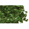Image de Plus Model feuilles de bouleau vertes