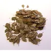 Image de Ahornblätter - Extra Farben - 1:35e - Plus Model