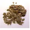 Image de Plus Model Feuilles d'érable - couleurs supplémentaires