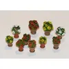 Image de Blumen In Blumentöpfen - 1:35e - Plus Model
