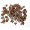 Image de Plus Model Feuilles de châtaignier