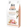 Image de BRIT Care Grain-Free Sensitive Turkey&Salmon - aliments secs pour chatons - 2 kg