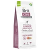 Image de Brit Care Sustainable Junior Large Breed poulet, insectes pour chiot - 12 kg